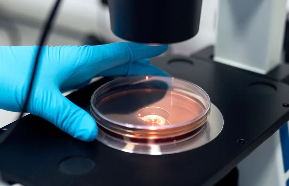 Tecnico di laboratorio che analizza un campione al microscopio
