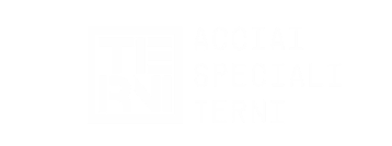 Acciai Speciali Terni